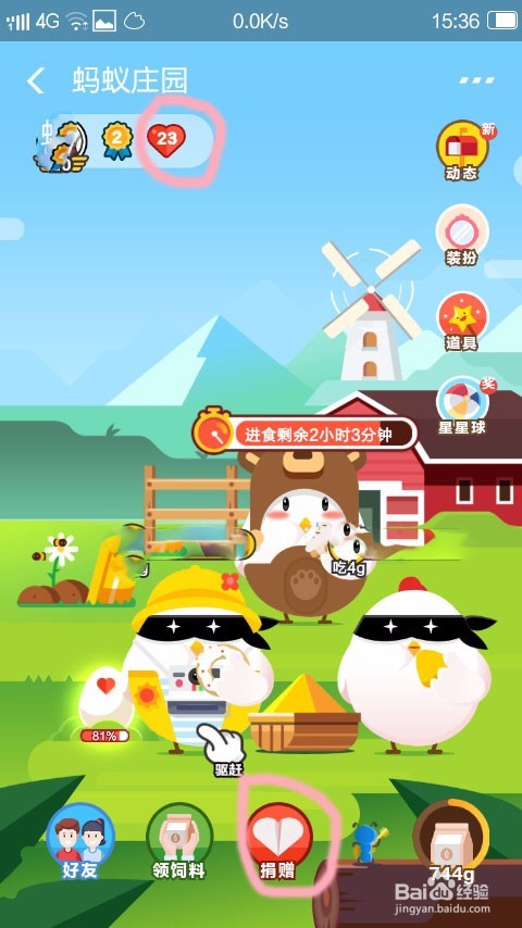 支付宝养鸡攻略