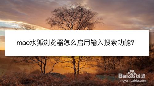 mac水狐浏览器怎么启用输入搜索功能