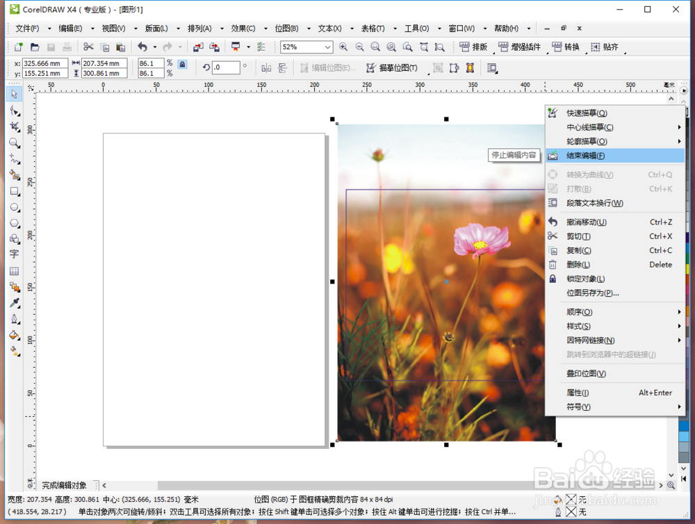 CorelDRAW怎么把图片精确裁剪到容器中？