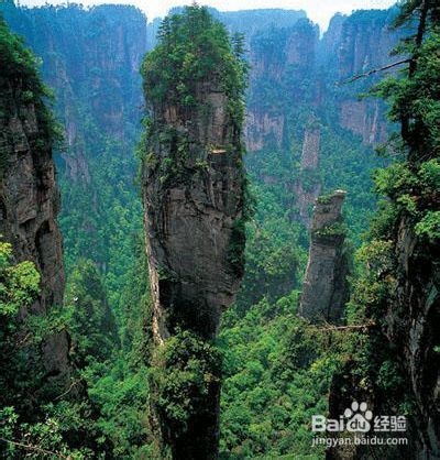 杭州到张家界自助游