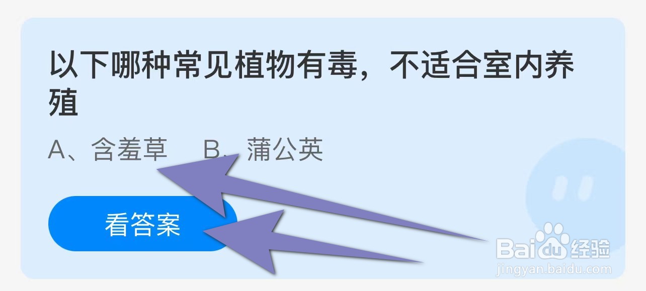 以下哪种常见植物有毒,不适合室内养殖