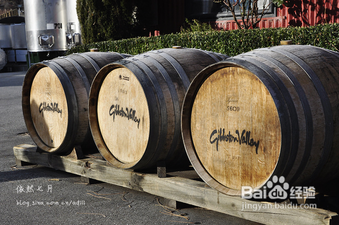 【皇后镇_吉布斯酒庄Gibbston ;Valley】新世界中五大顶级葡萄酒产区之一