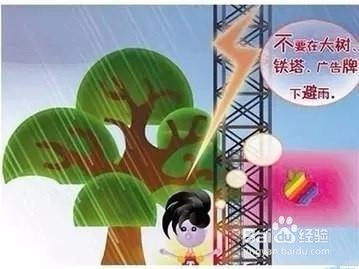 台风天鸽逼登录广州 台风来了如何避险