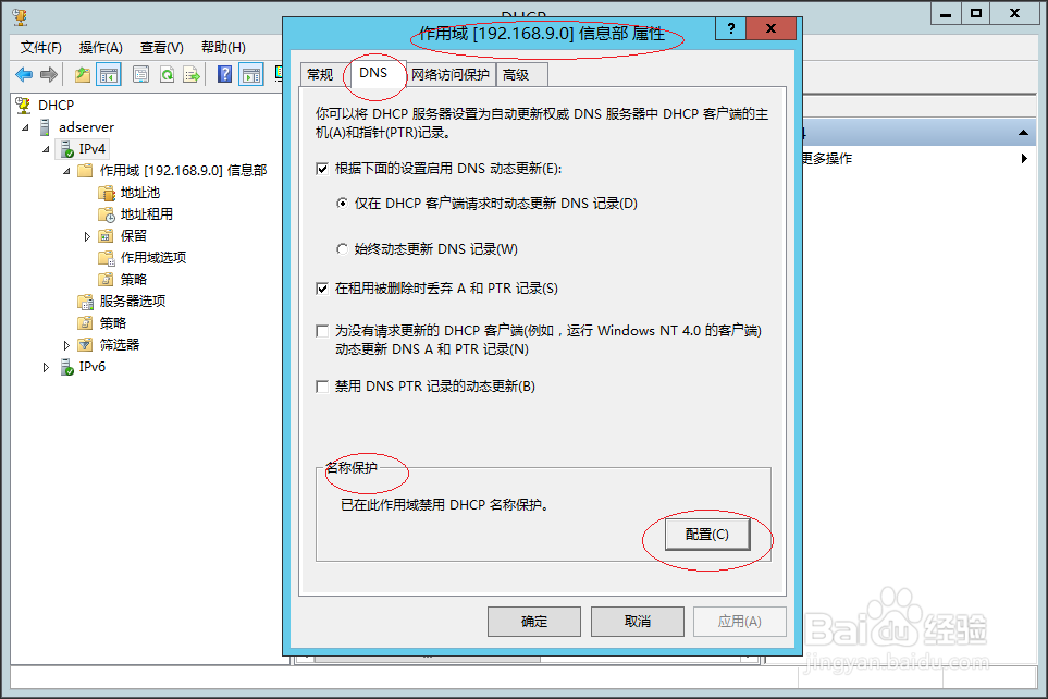 Windows服务器如何禁用DHCP IPv4作用域名称保护