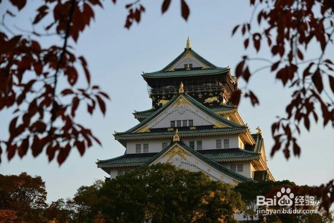 亲子游去哪儿 日本长野、关西游学心灵路线