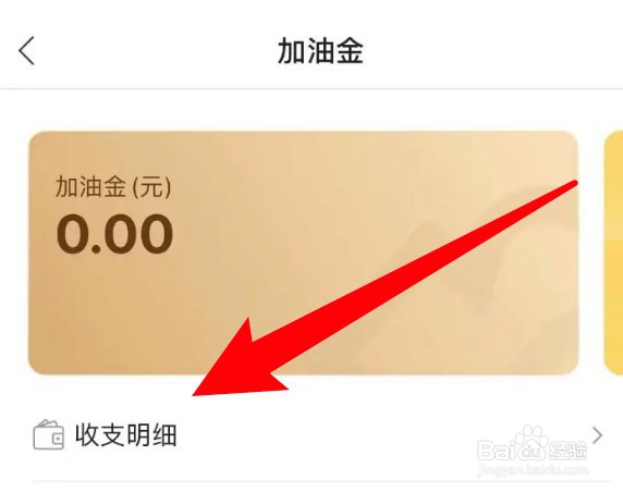 怎么查看团油app的收支明细
