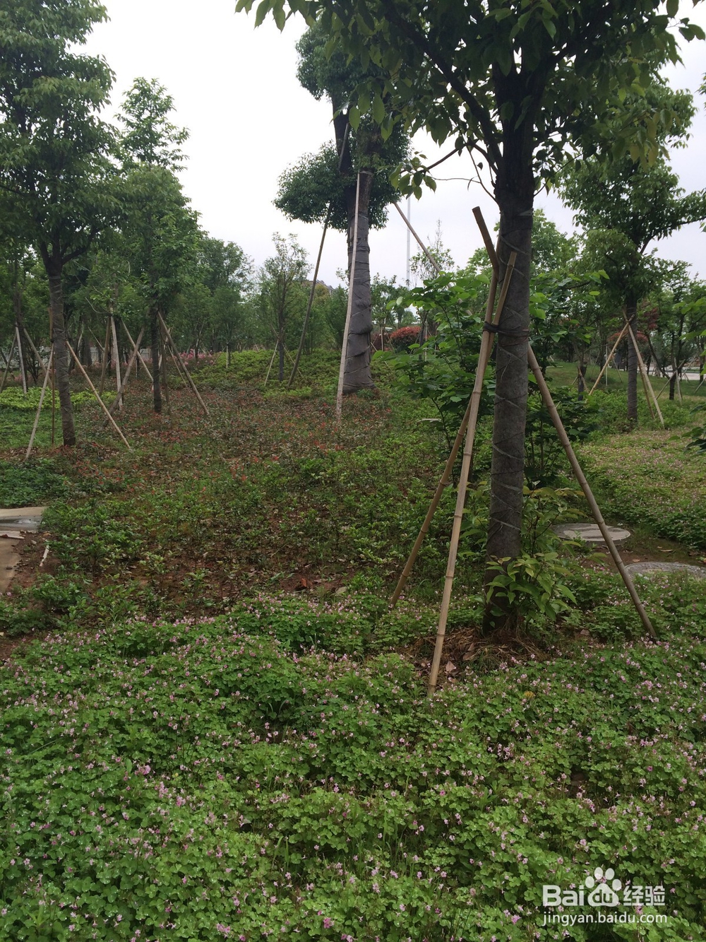 买车之前考虑的事