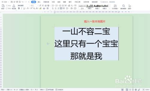 用wps office打開文檔,添加一張需要進行文字轉換的圖片