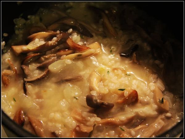 凤尾菇意大利烩饭