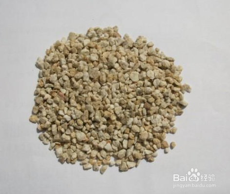 如何把玉露种的美美的，玉露如何开花