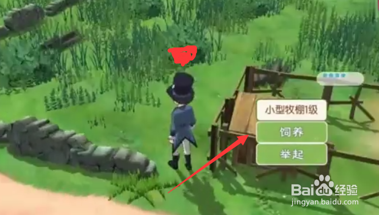 小森生活赤羽鸡王怎么养