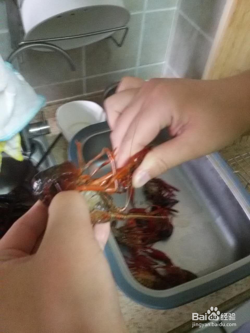 如何清洗小龙虾?