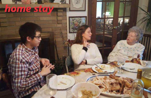 home和accommodation有什么区别