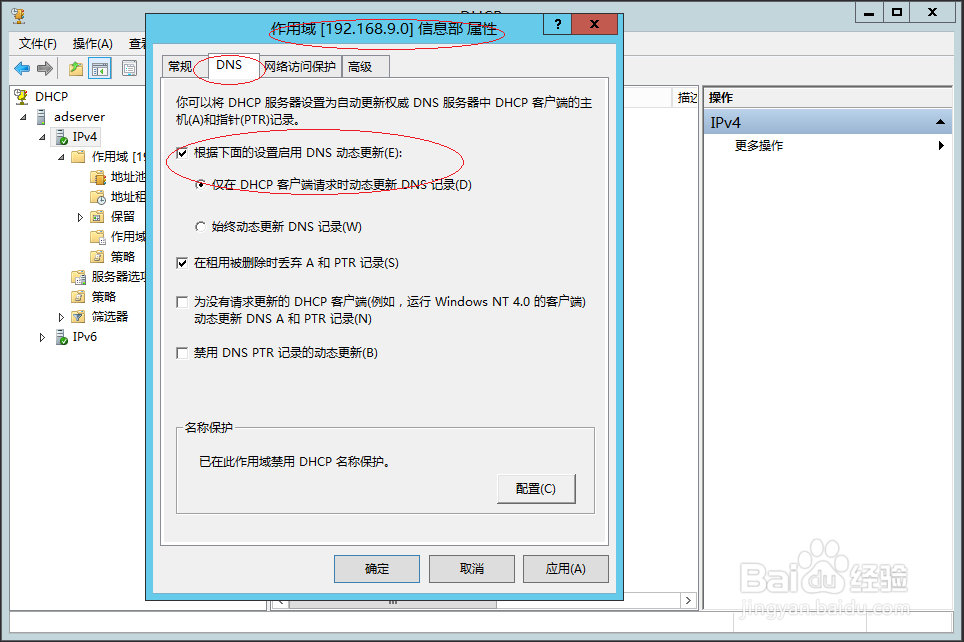 Windows服务器如何禁用DHCP IPv4域名动态更新