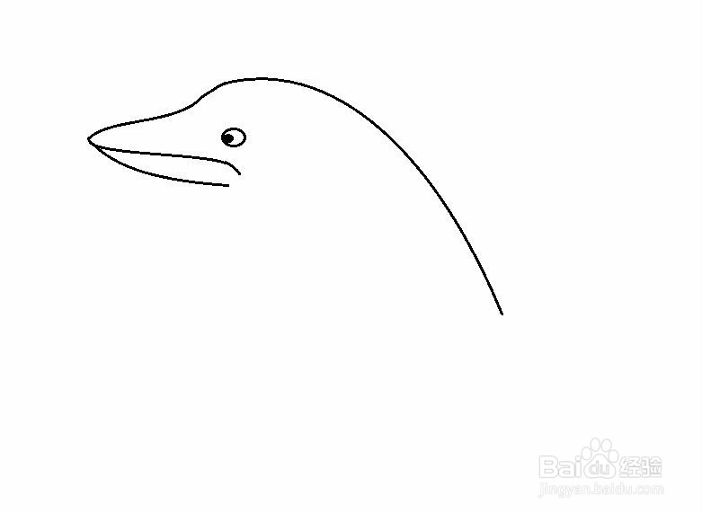 简笔画海豚的画法