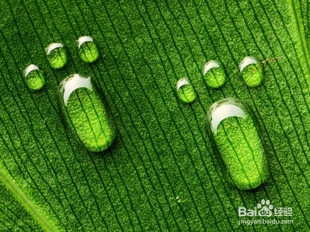 如何正确认识自己：[1]建立性格档案