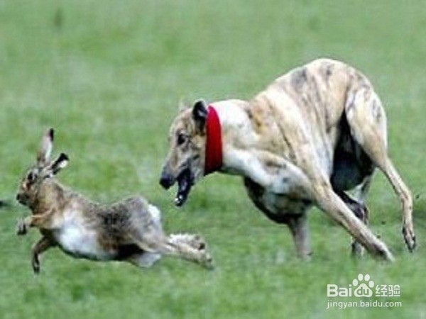 经常晚睡觉怎么调整白天状态？