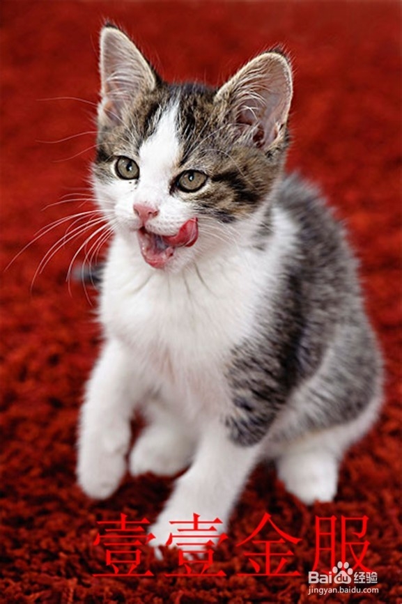 3步小技巧快速让恼人眼袋全消失