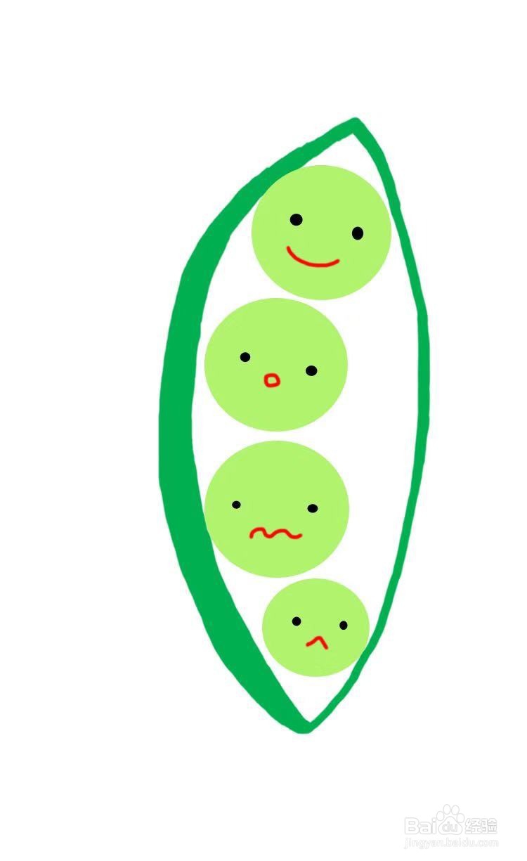 简笔画教程之毛豆