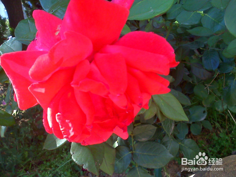 读书的好处---12