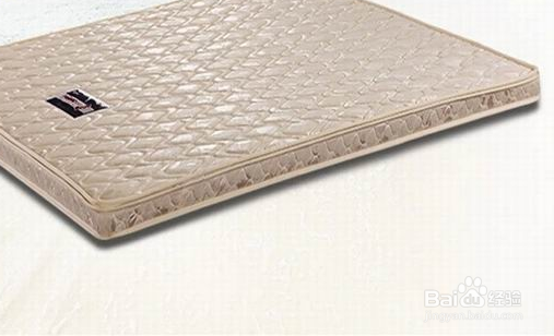 共枕弹簧床垫和乳胶床垫的优缺点