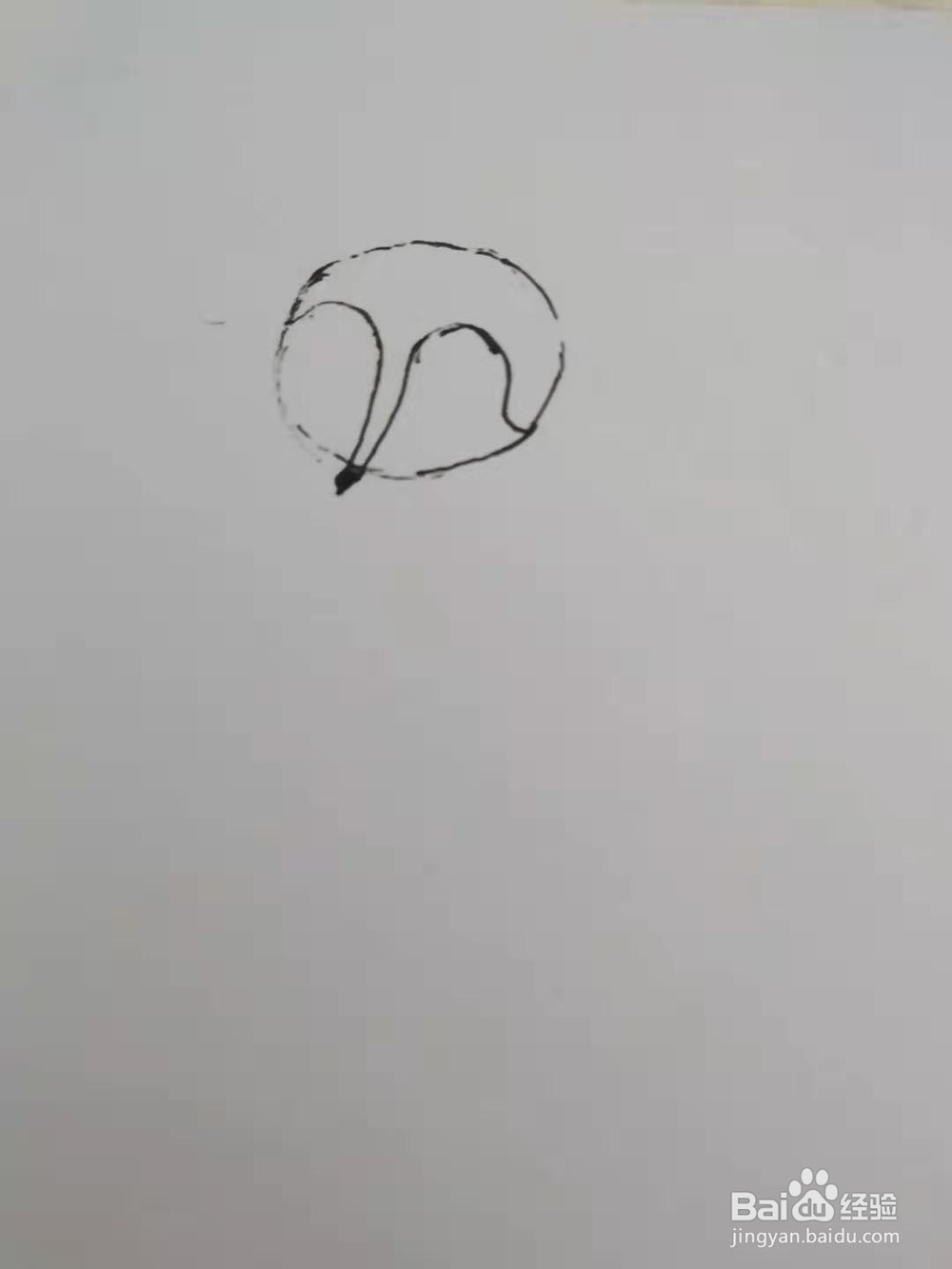 怎么画一只可爱的小狐狸