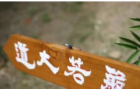 敢问持满有道乎是什么意思