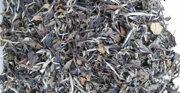 福鼎白茶品种有哪几类