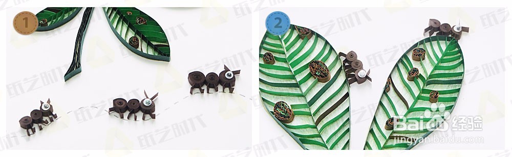 衍纸教程 蚂蚁与落叶