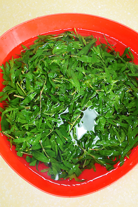 山苜楂虾仁饺子