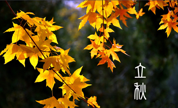 左河水的立秋诗词