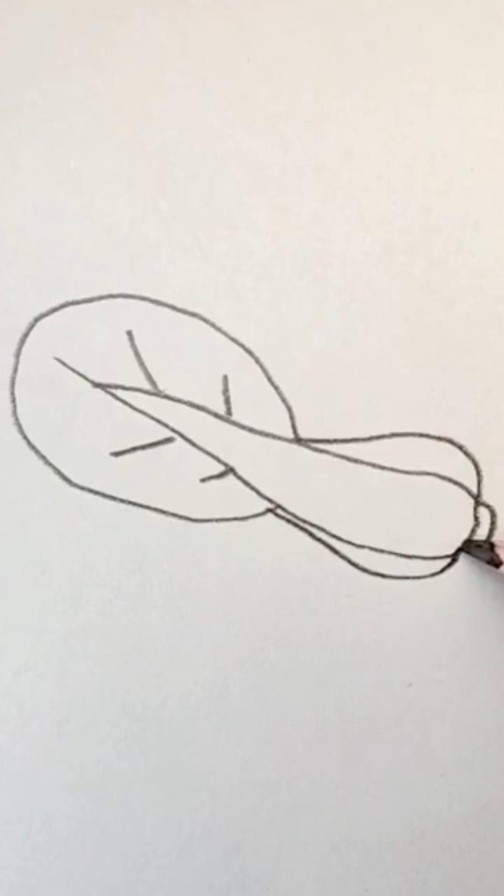 育儿简笔画白菜怎么画