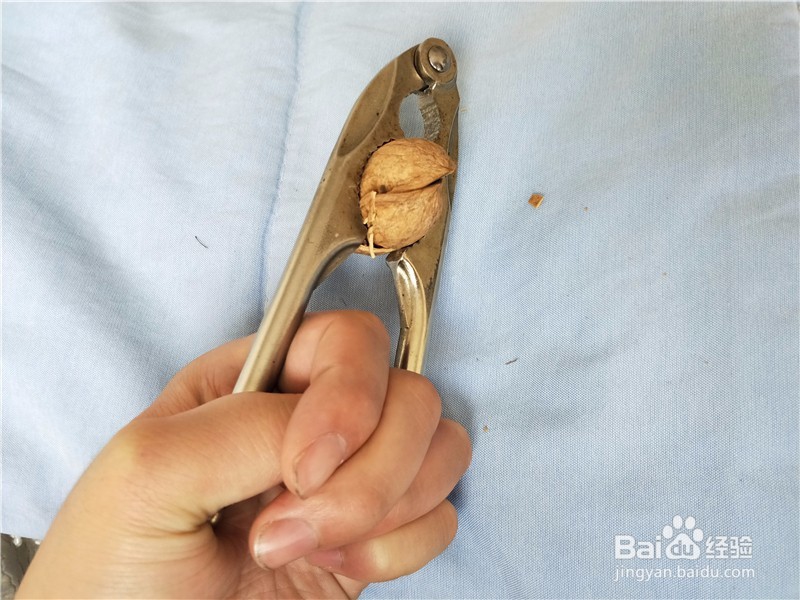 核桃钳子如何轻松快速的打开核桃