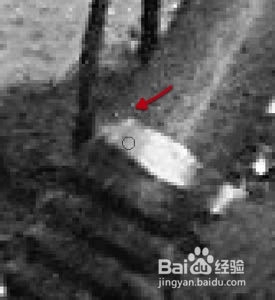 超详细介绍如何修复撕裂的旧照片