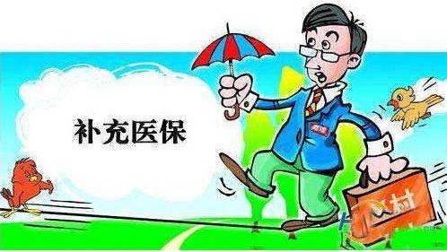 公司要给子女缴纳补充医疗,这个是干什么的