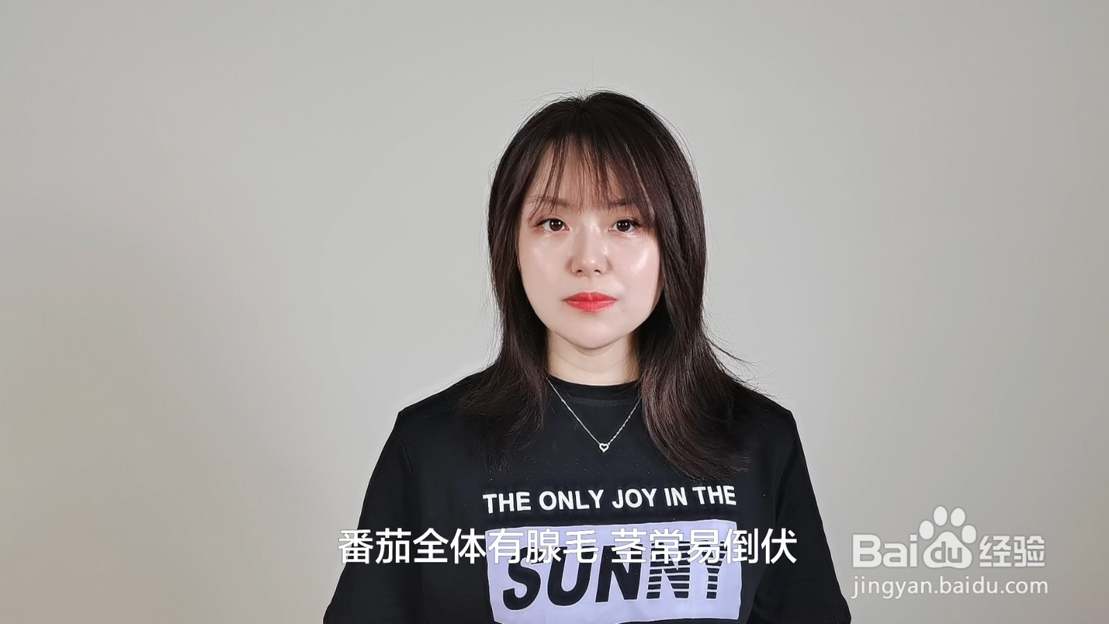圣女果和西红柿的区别