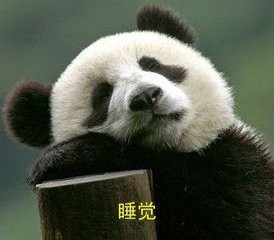 教你如何增肥增肌