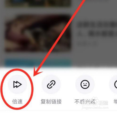 青桃APP怎么设置倍速播放