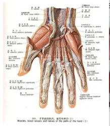 怎么锻炼手指力量和速度