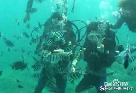 三亚旅游攻略景点一览