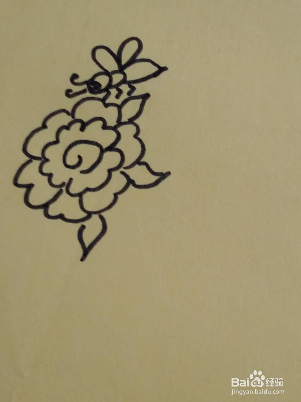 勤劳的小蜜蜂简笔画画法