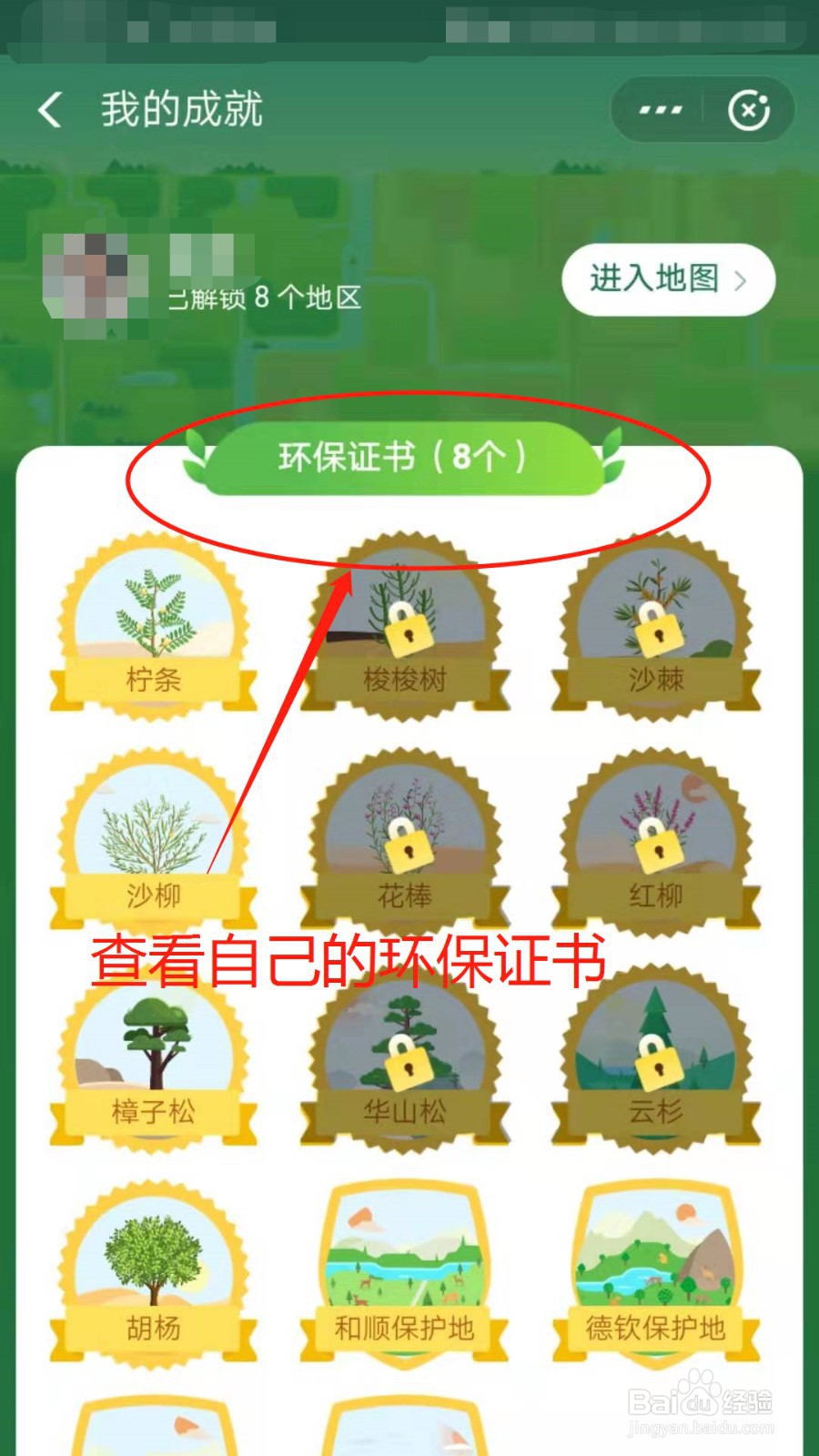 支付宝蚂蚁森林怎么种树呢？
