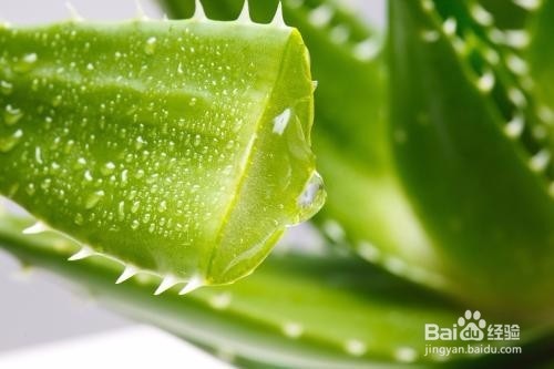 美白祛痘补水的妙招 美白祛痘补水小秘诀