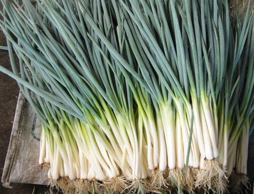 葱白治鼻炎的方法