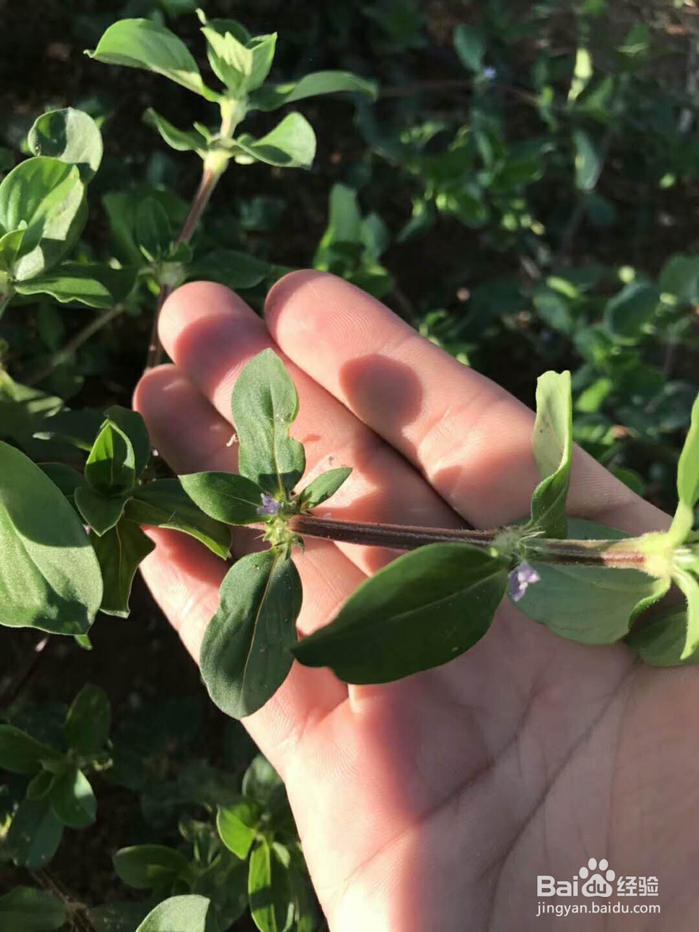 教你在心情低落的时候应该做的事情。