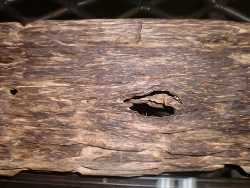 怎样辨别沉香的真假