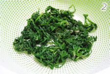 春天的清新滋味——荠菜肉小馄饨