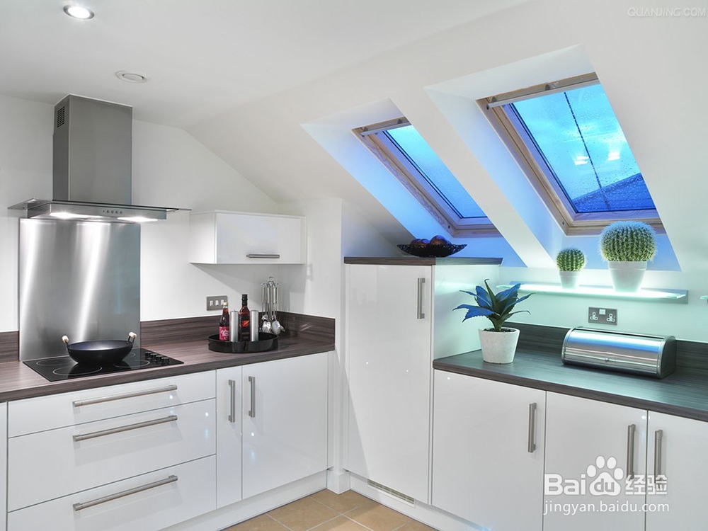 家里一定要摆放这几种绿植，保你财旺，运气旺