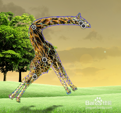 ps 操控变形修改图形