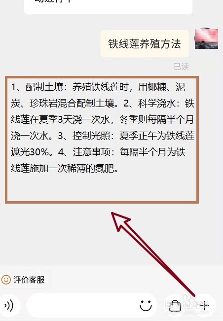 铁线莲怎么养殖方法